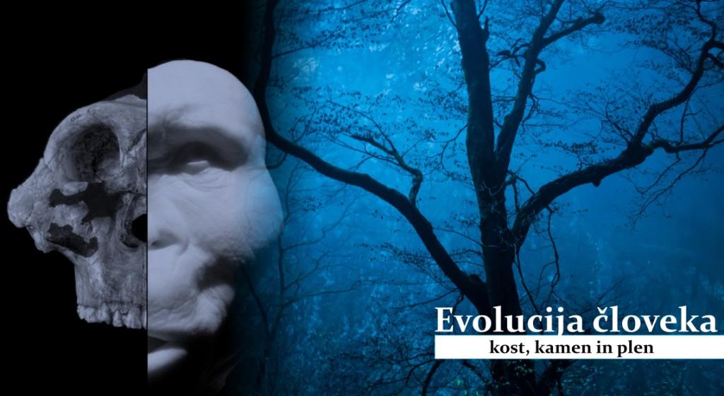 Evolucija človeka