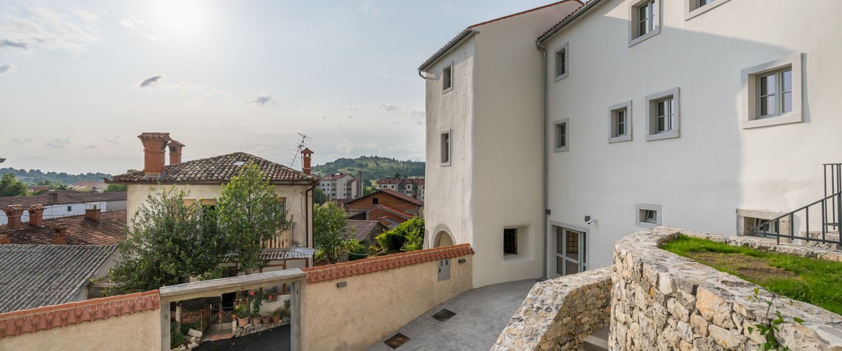 Mitnica