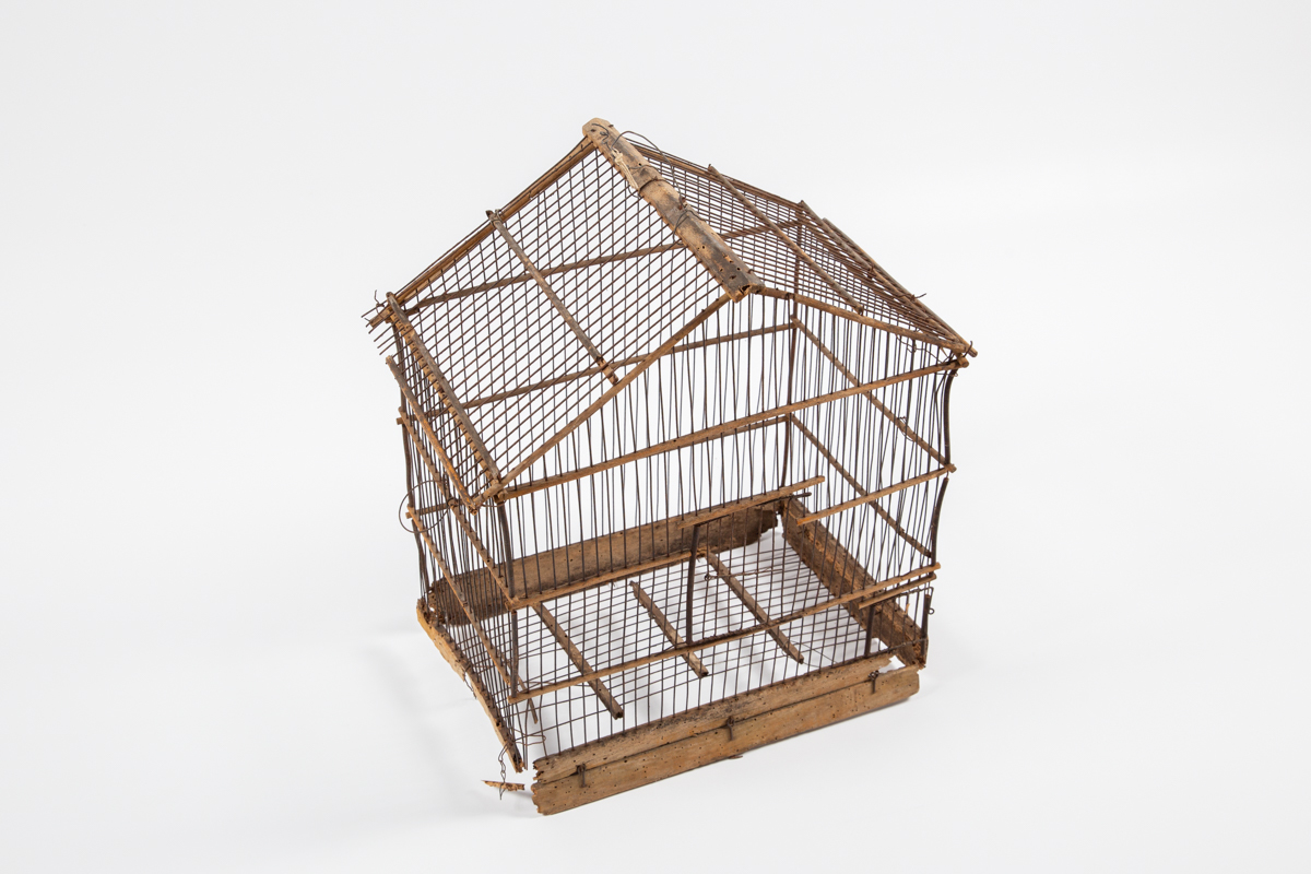 Pticja kletka mg 0219