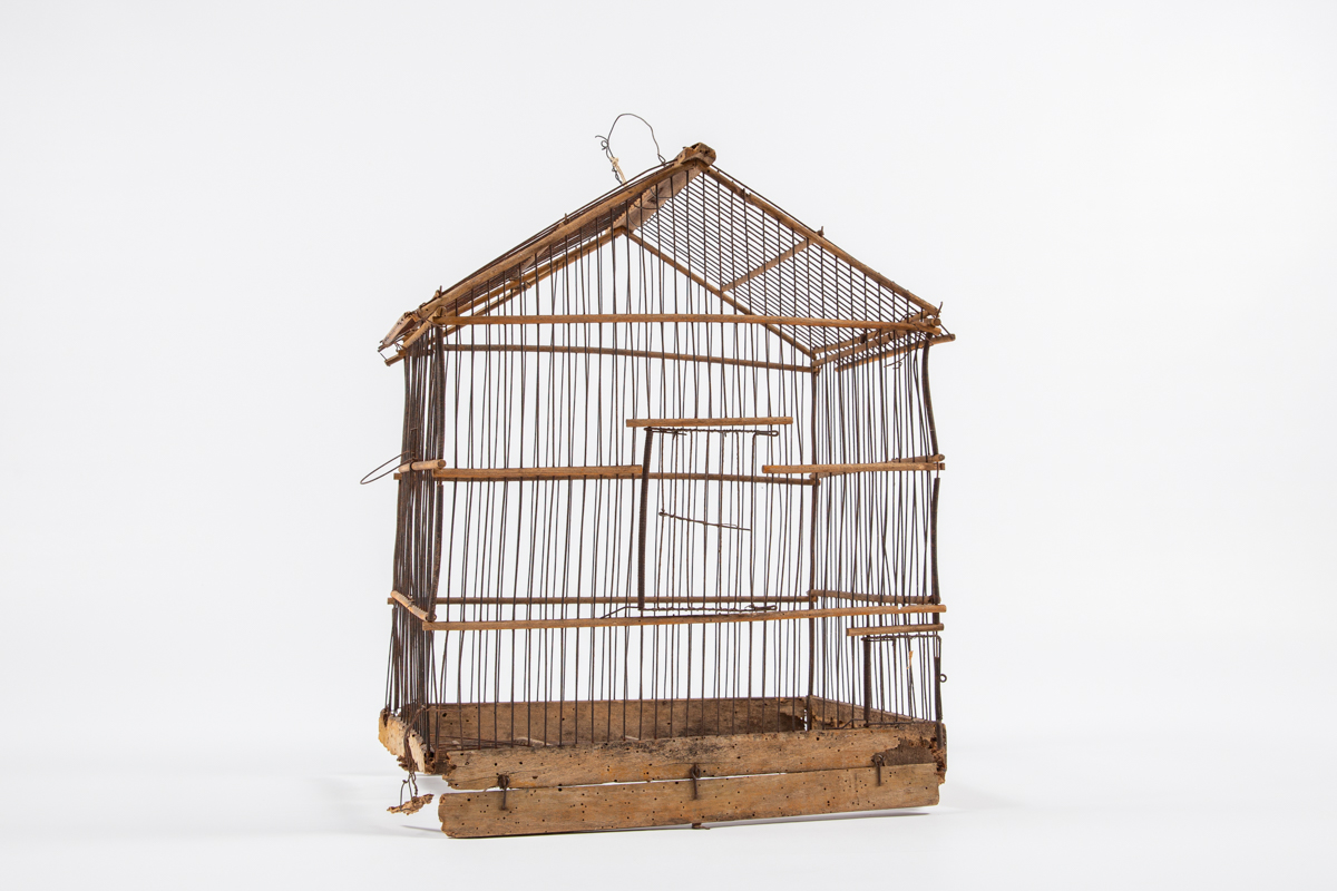 Ptičja kletka - ščajba, kajba, kobača, klonja